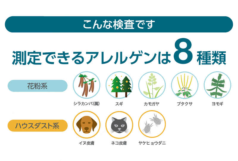 こんな検査です